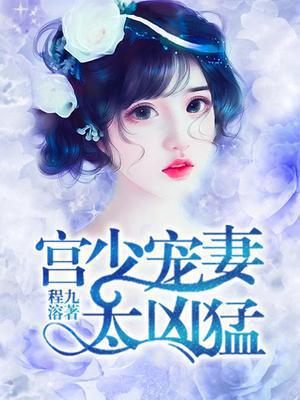 冬夜渐未眠