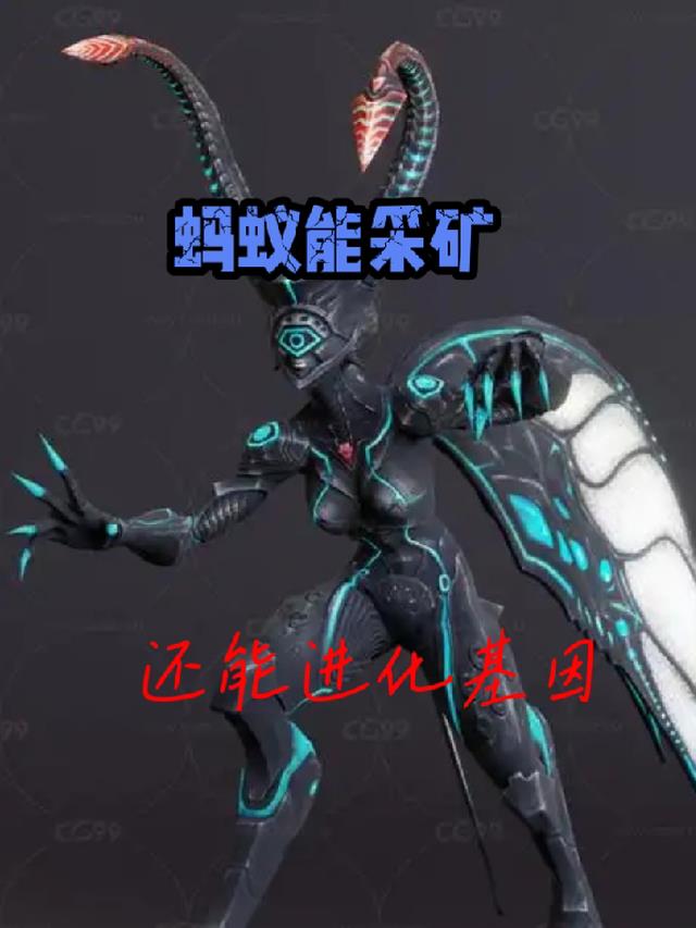 蚂蚁能采矿还能进化基因
